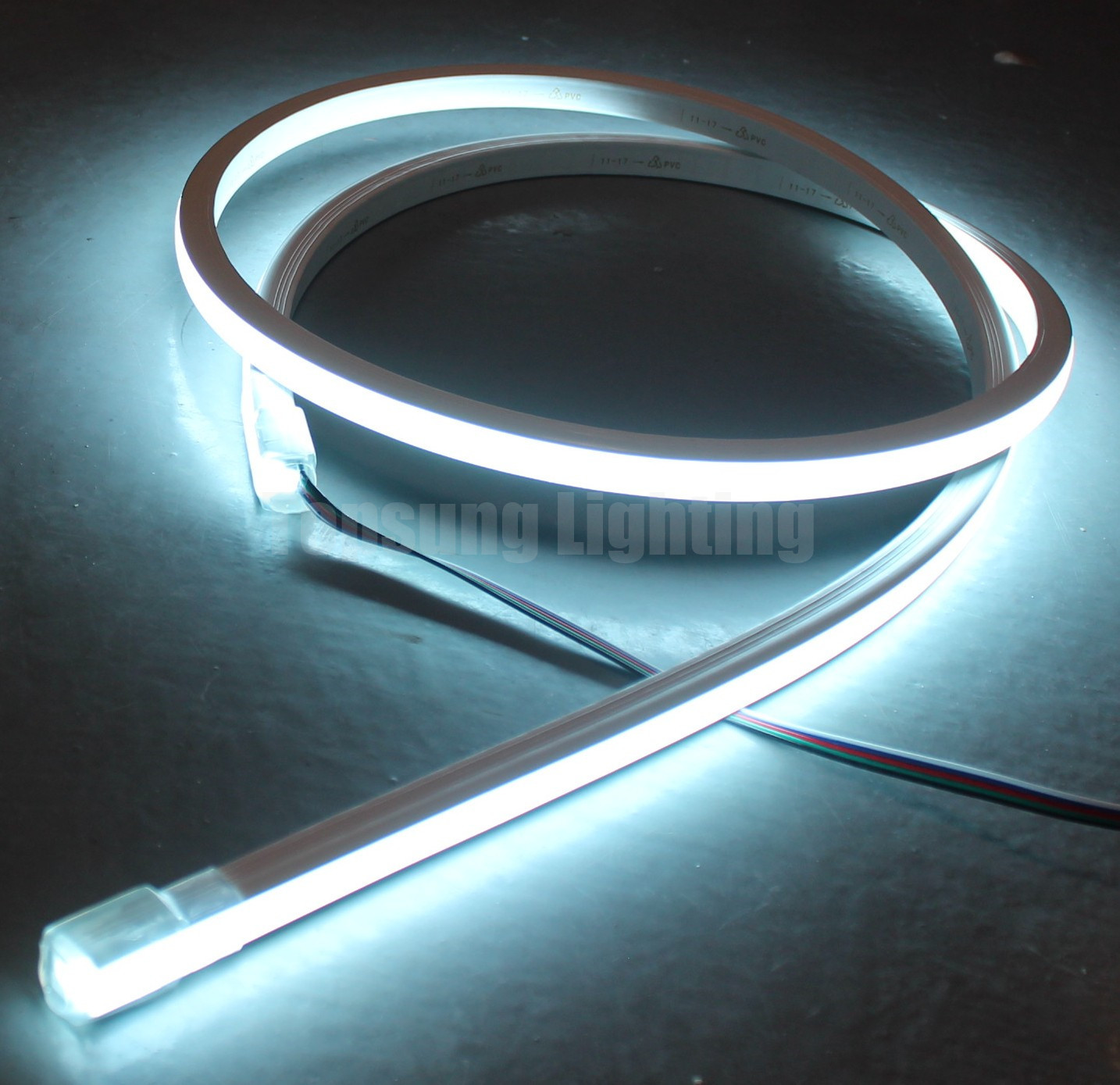 programmable rgbw 4 chip color changing led neon rope flexible strip