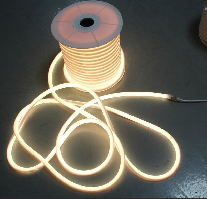 Eastfine Outdoor LED Strip Lights, IP67 100 FT Outside LED